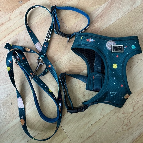 Collar, Leash & Harness - Picture 1 of 1